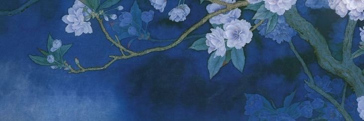 lydia 🫐's banner