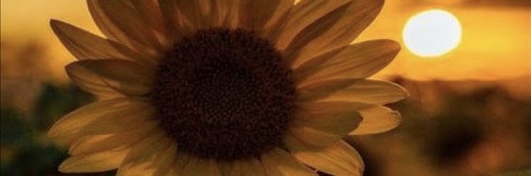 tuncatolga's profile banner image