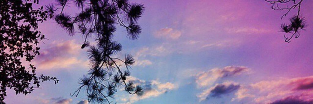 mm00910's profile banner image