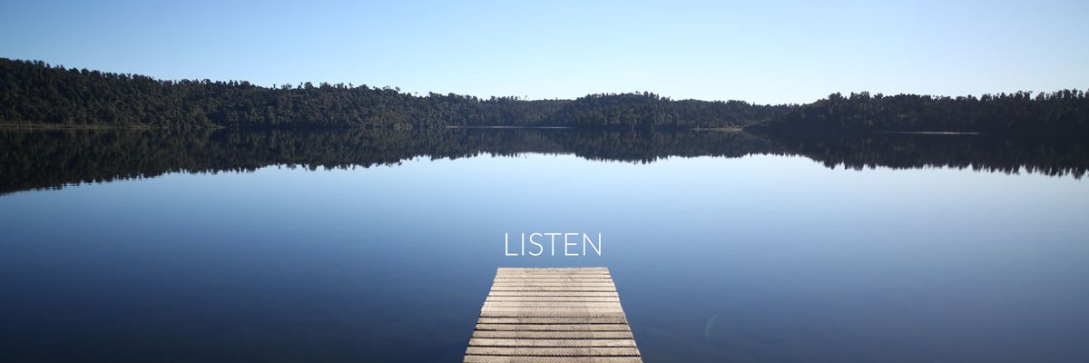 Tim Prebble - HISSandaROAR banner