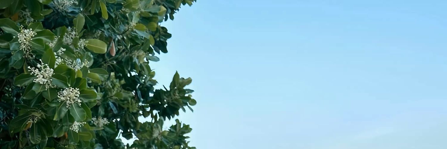 yewenrou45a's profile banner image