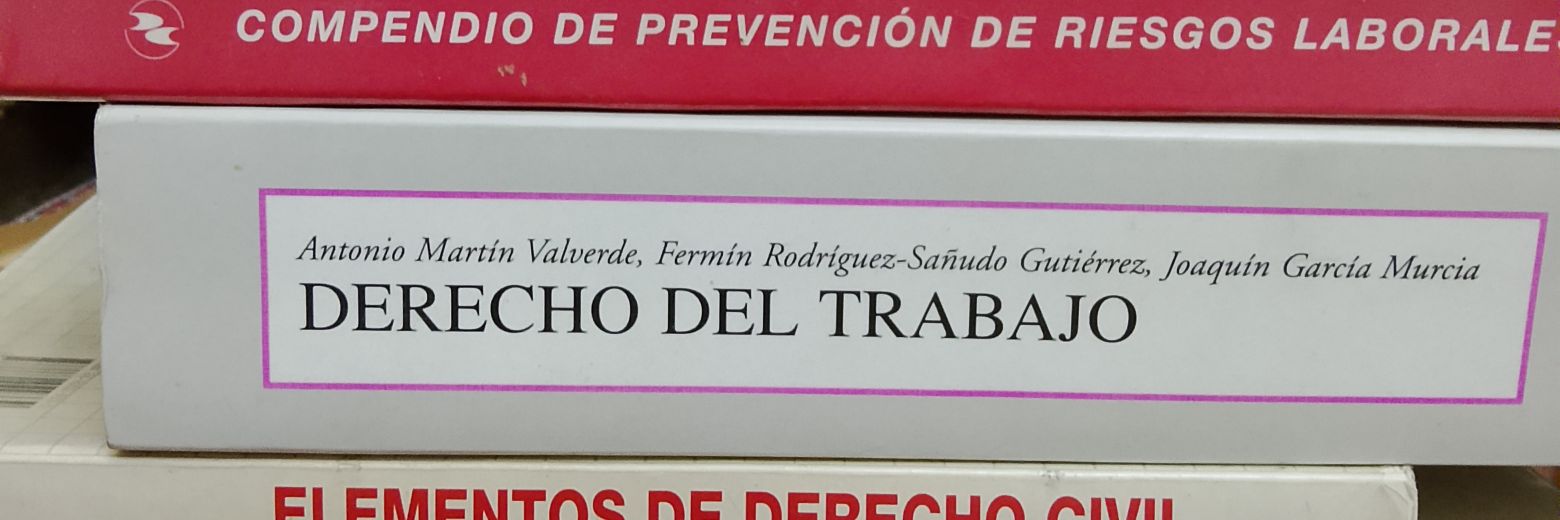 Manuel Sánchez Moreno banner