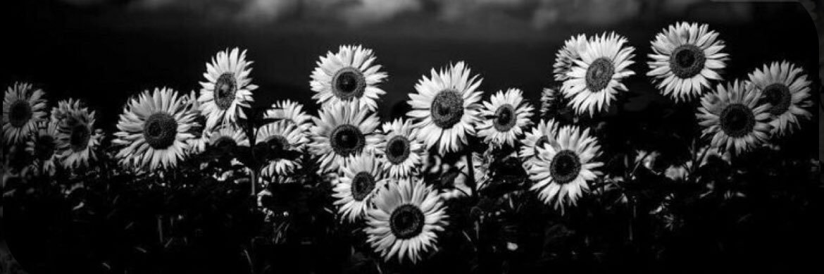 marcelaa_assis's profile banner image