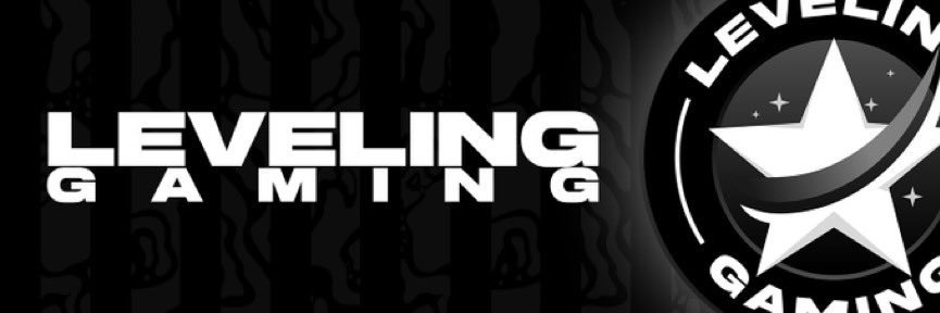 LEVELING GAMING banner