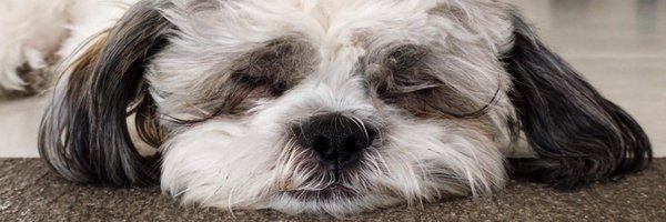 Andyvargtz Profile Banner