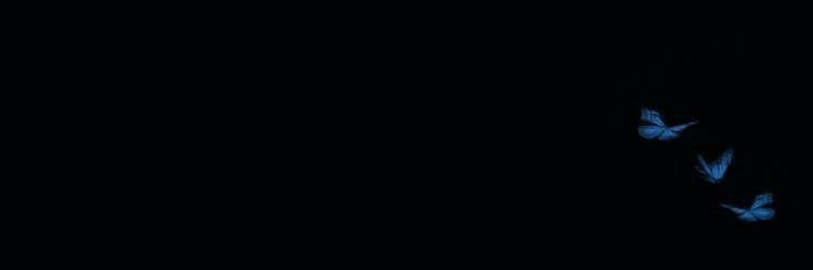 𝕾𝖊𝖑𝖊𝖓𝖊 (bday 1 aug)'s banner
