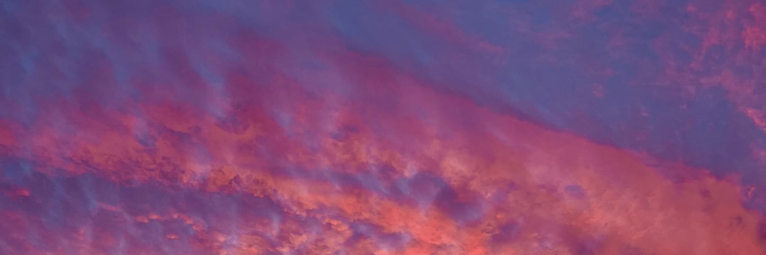 exsssaviera's profile banner image