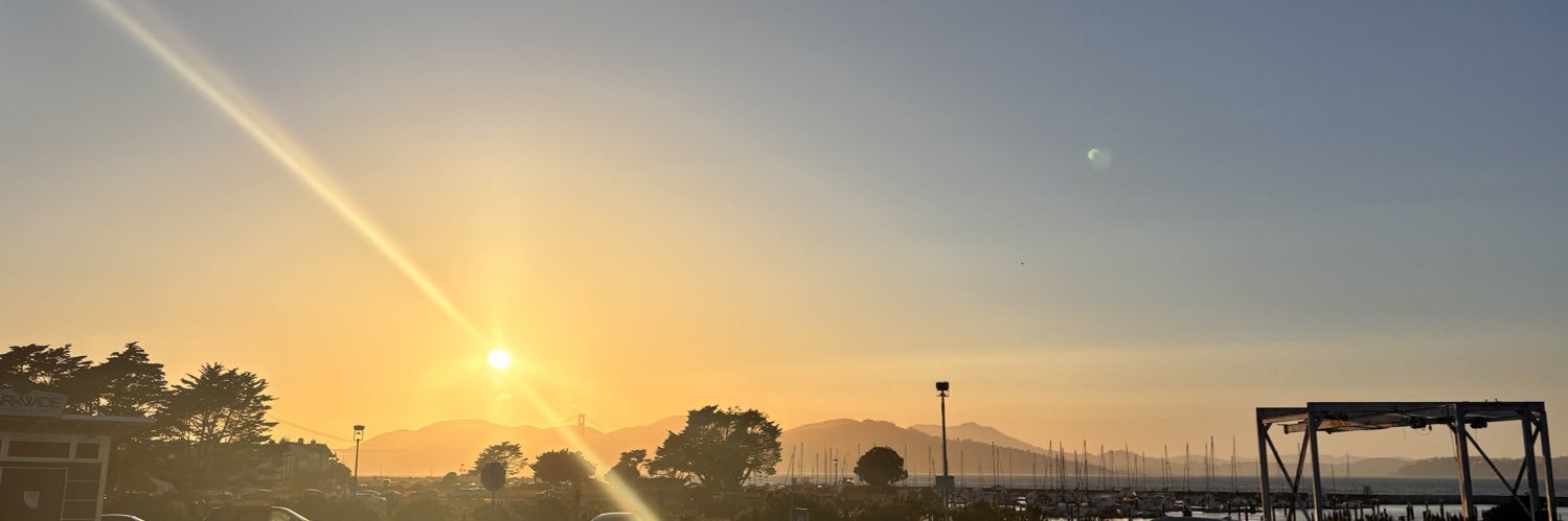 lily yang's banner
