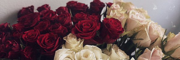 dashadime Profile Banner