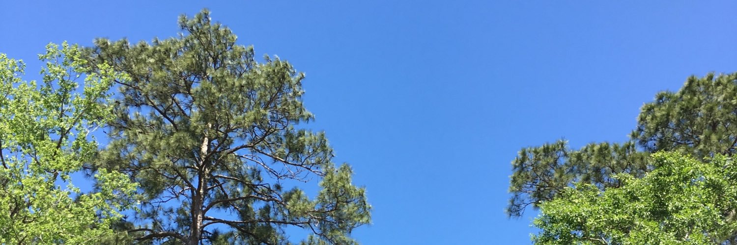 janelleintx's profile banner image