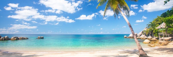 Sunshine's banner