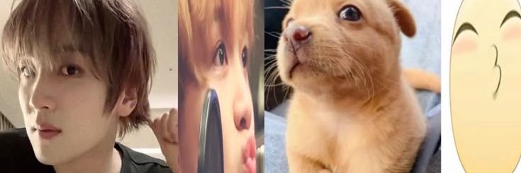 lily .ᐟ.ᐟ banner