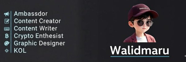 Walidmaru Profile Banner