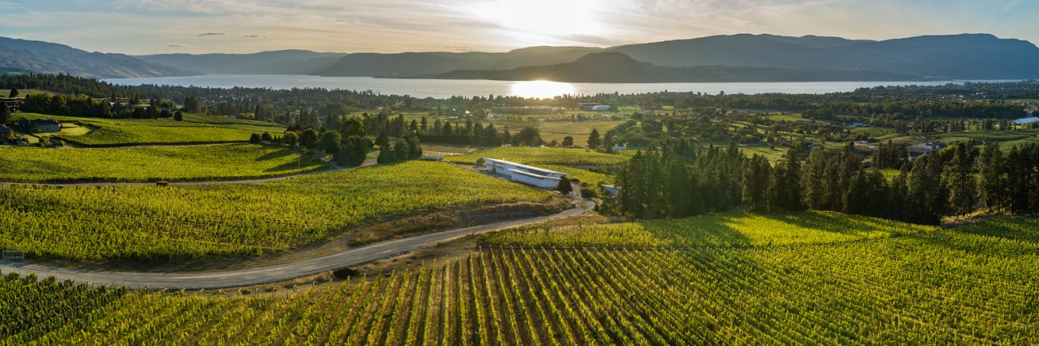 tantaluswine's profile banner image