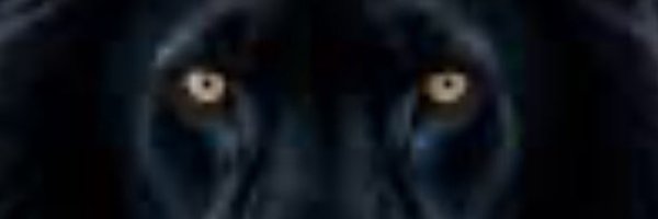 EEELPRODUCTIONS Profile Banner