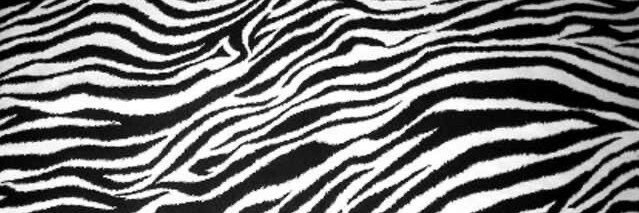 itin’s 🦓 banner