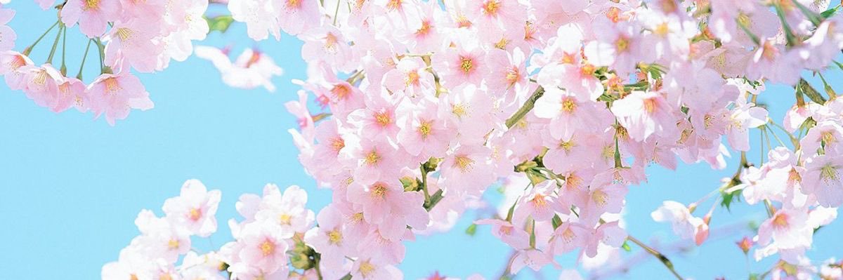 ⋆˚✿˖° Mumu ⋆˚✿˖°'s banner