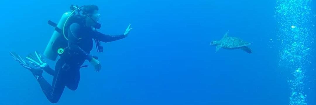 Diego Sánchez banner