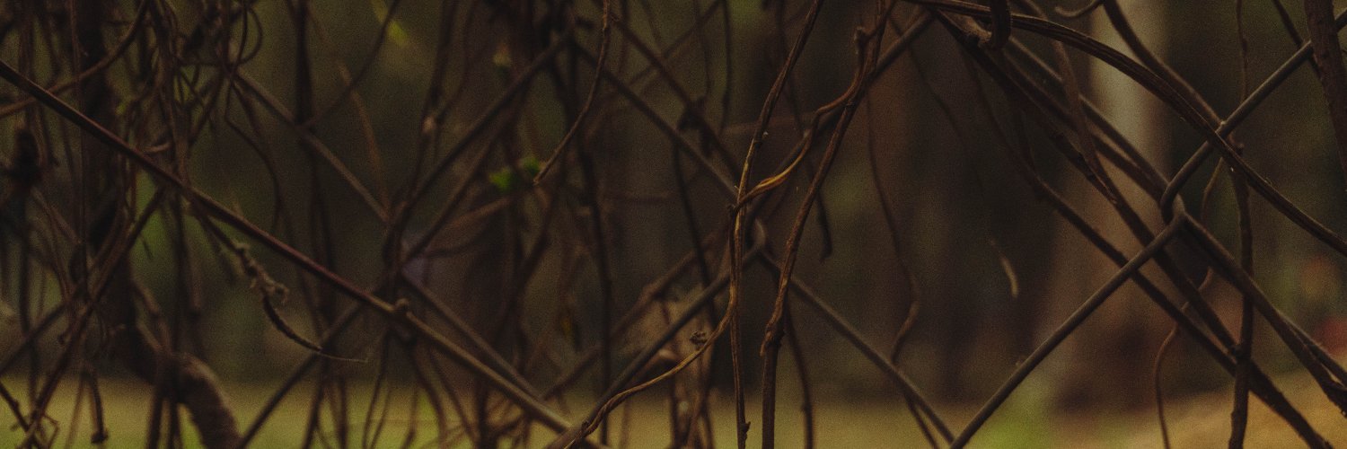 Javi4u banner
