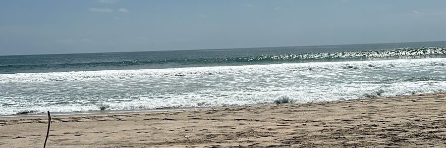 Sua-Benavides banner