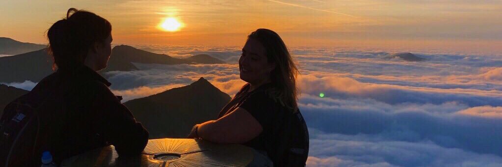 omarahlaa_'s profile banner image