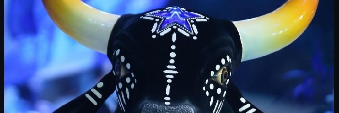 luiza🌟 banner