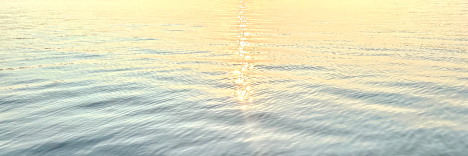 foiplus's profile banner image