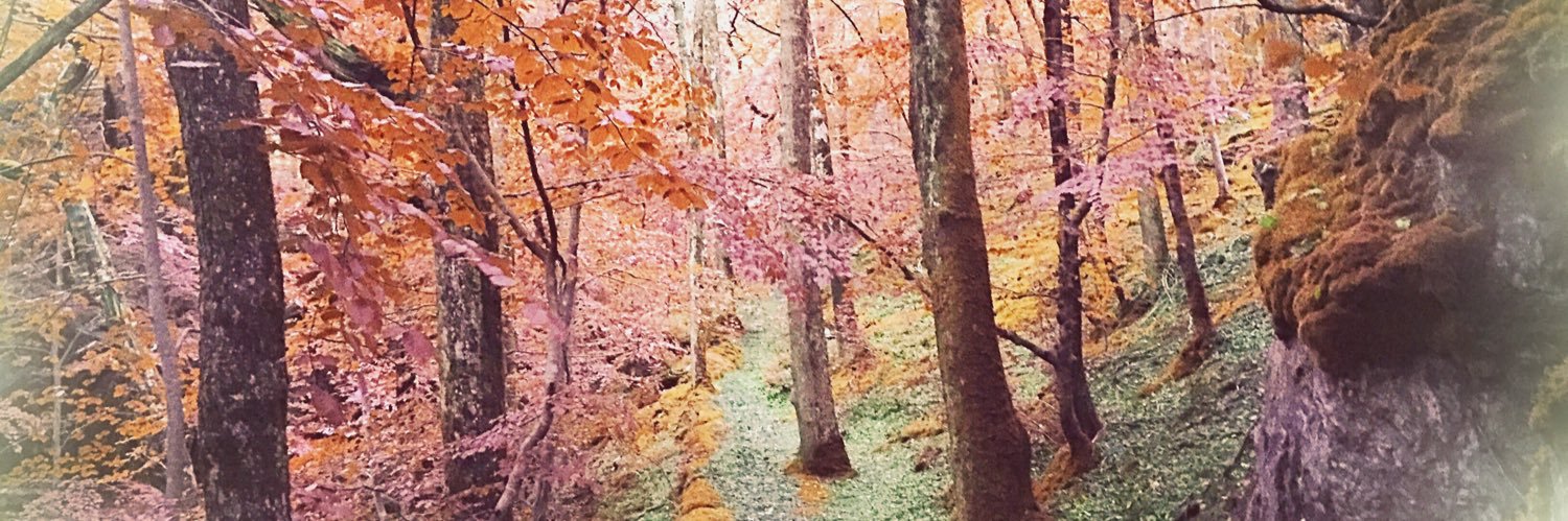 Jac_the_Tripper's profile banner image