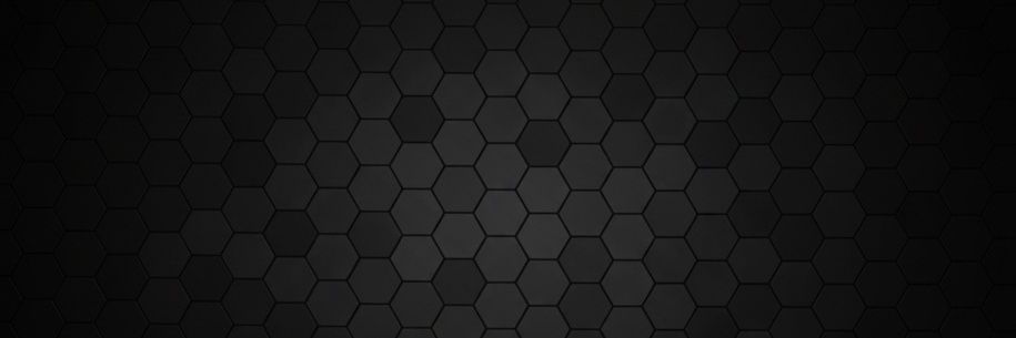 The Enterpreneur banner