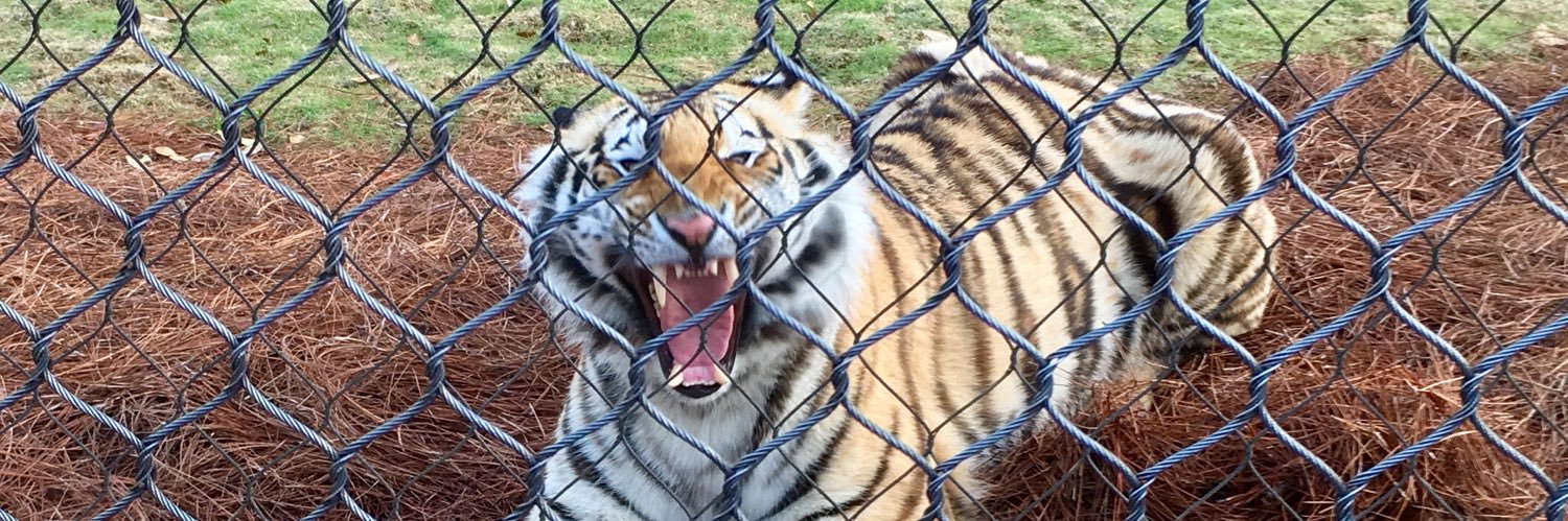 3GenTiger's profile banner image