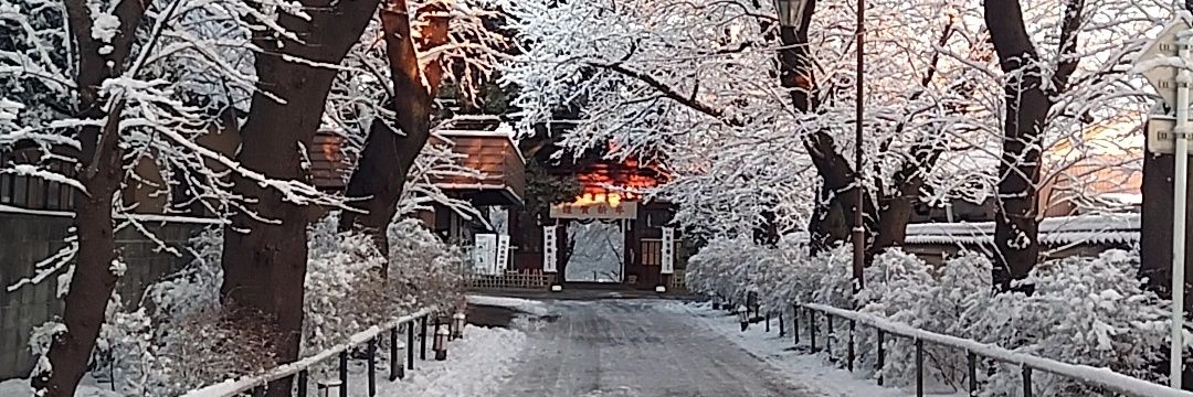 サブN banner
