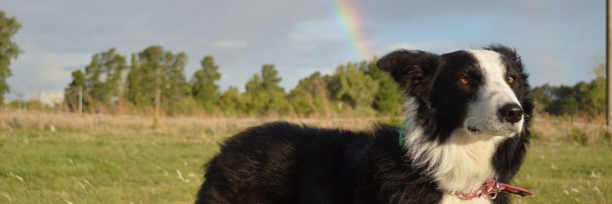 DamianTpq's profile banner image