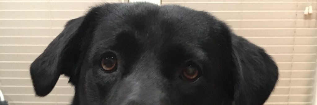 NWilsonn14's profile banner image