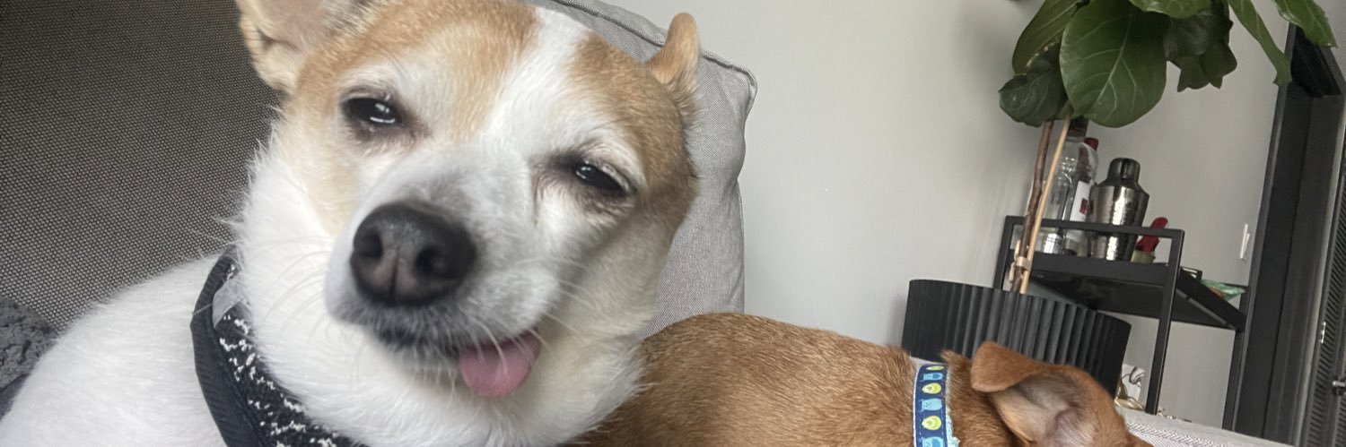 eldergaybri's profile banner image