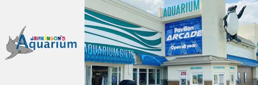 Goondamimus banner