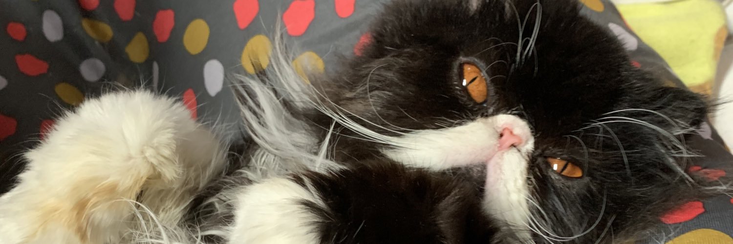 mastervezza's profile banner image
