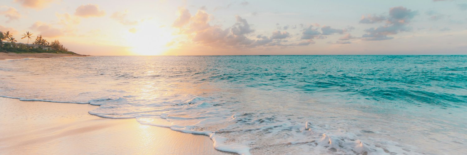 파도의 보석 banner