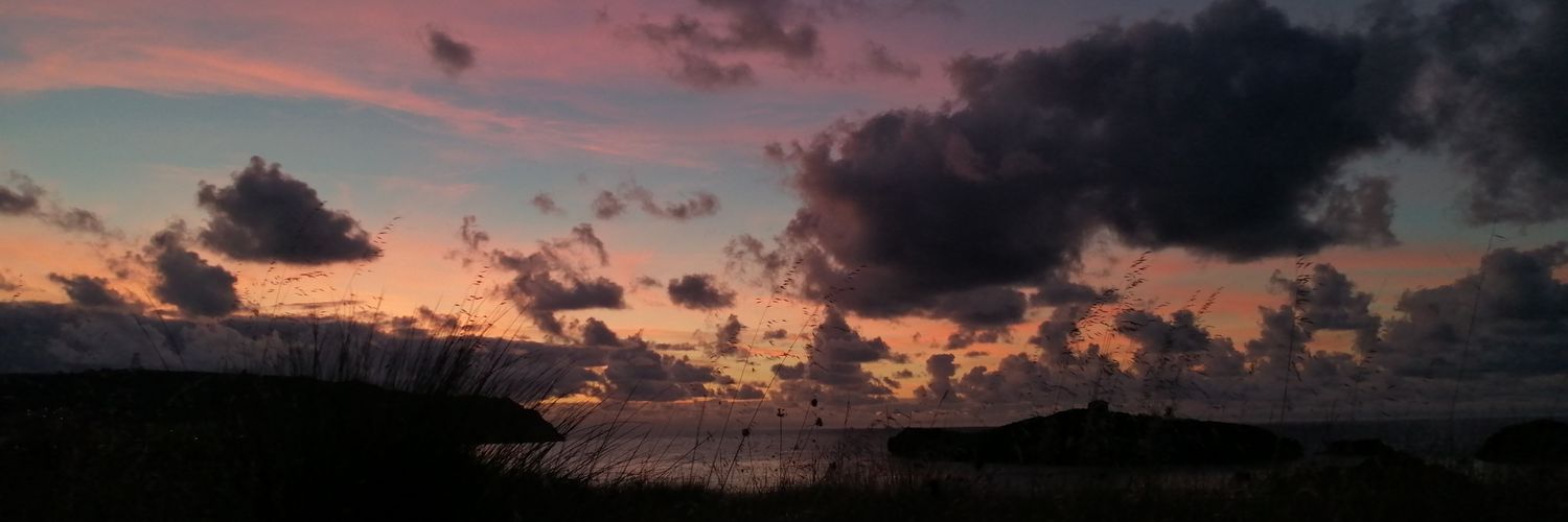 claw__2's profile banner image
