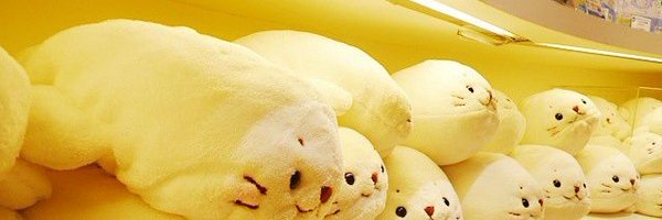 sc__420 Profile Banner