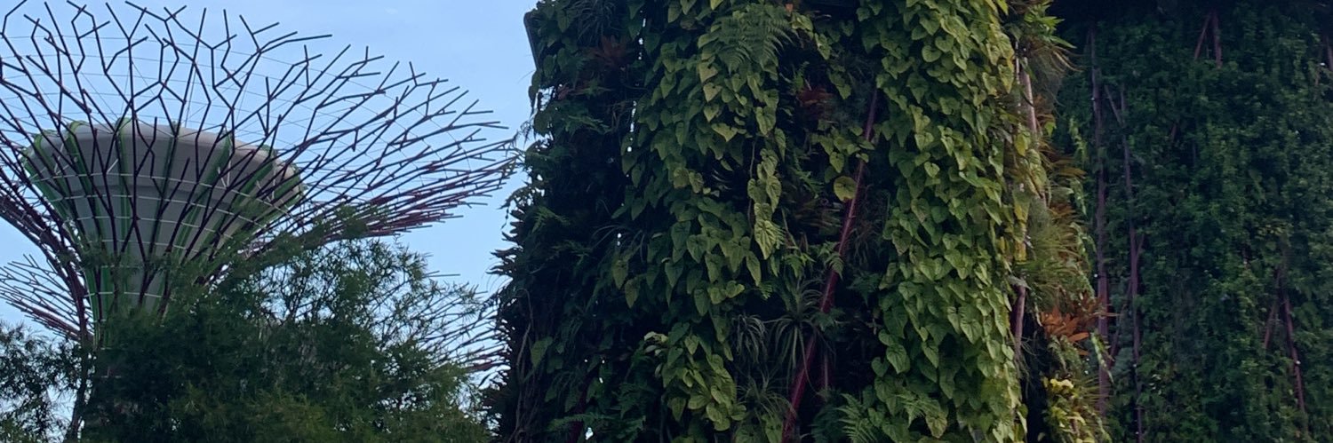 mcgnum's profile banner image