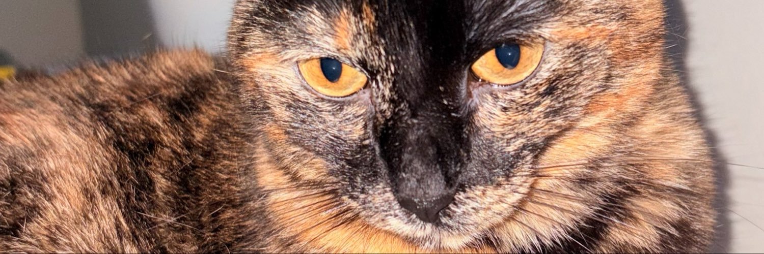 catviolaa's profile banner image