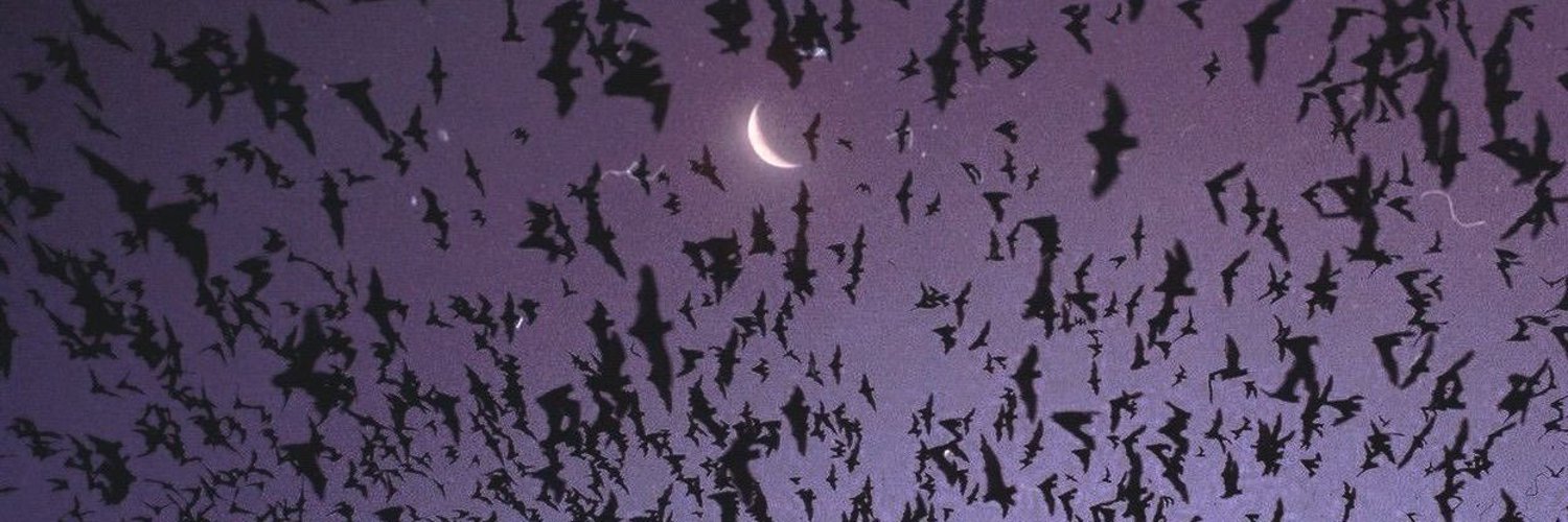 𝔇𝔢𝔩𝔦𝔠𝔞𝔱𝔢 𝔦𝔰 ℑ𝔪𝔪𝔬𝔯𝔱𝔞𝔩's banner