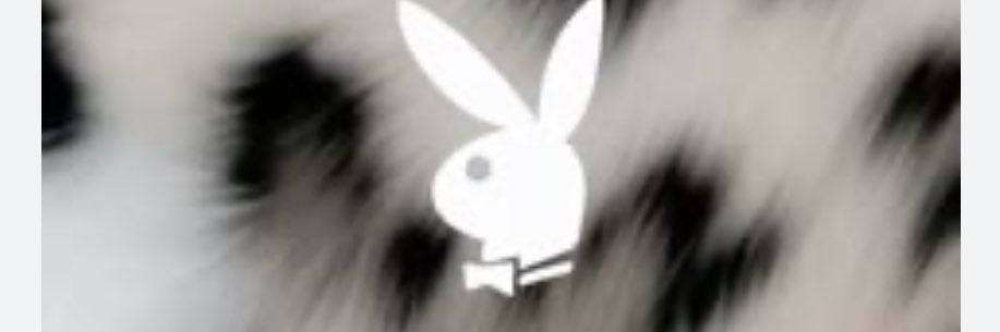 msfoxx4200's profile banner image