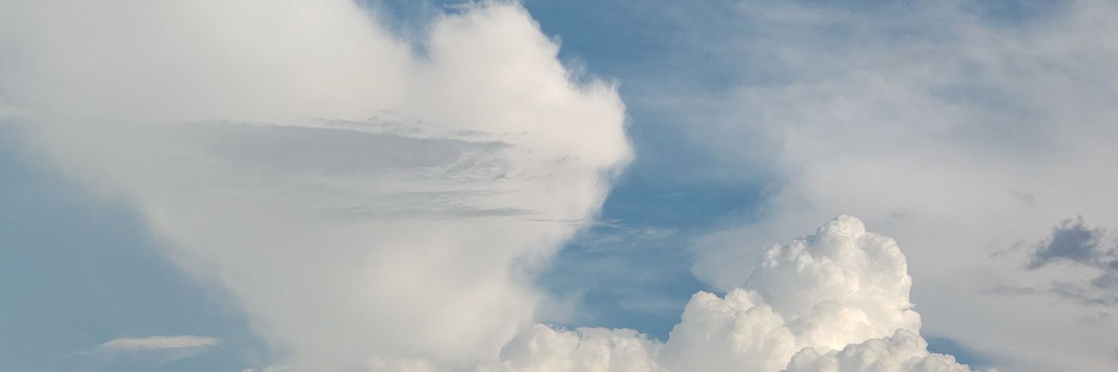 のの banner