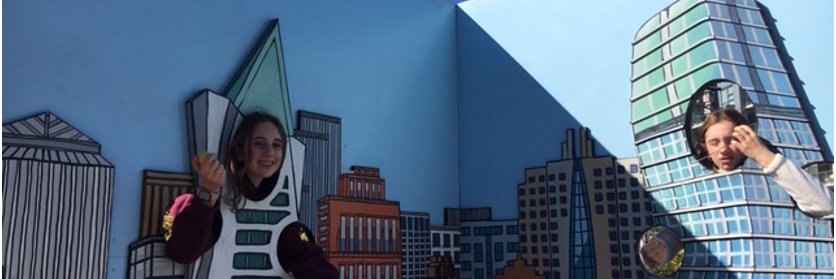 StephSF's profile banner image