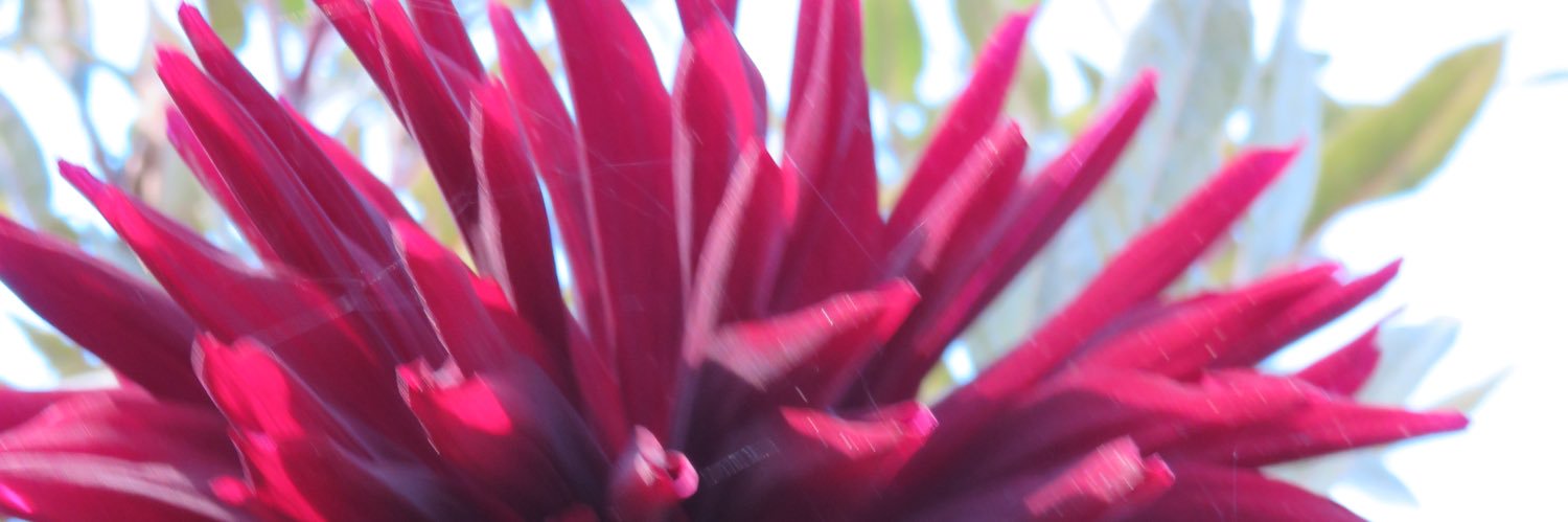 LJDEM's profile banner image