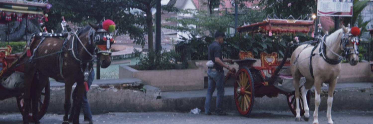 paniezz00's profile banner image