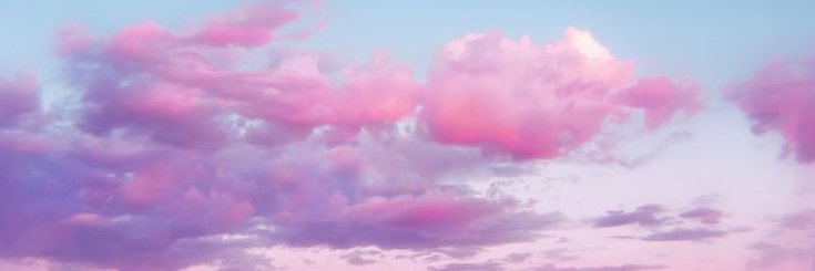 𝗦𝗛𝗔𝗗𝗢𝗪 𝗥𝗜𝗙𝗧 || Debut Soon 🎀 banner