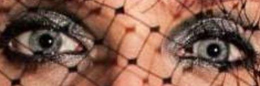 valtesselarose's profile banner image