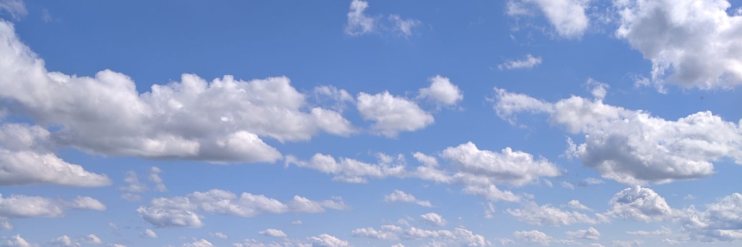 catherine putonti banner